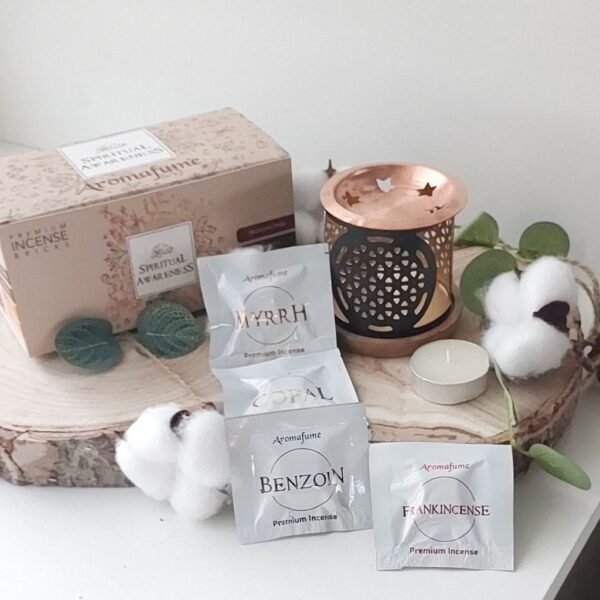Coffret briques d'encens Conscience Spirituelle