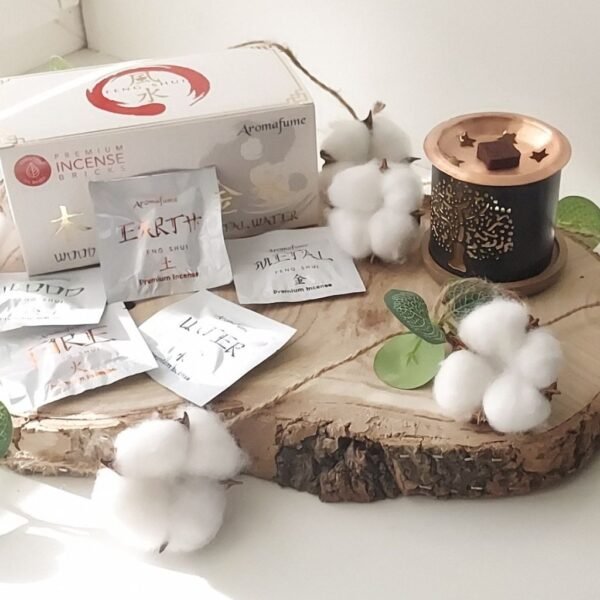 Coffret briques d'encens Feng Shui