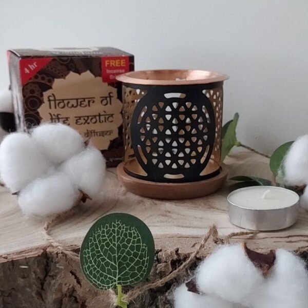 Diffuseur pour briques d'encens fleur de vie
